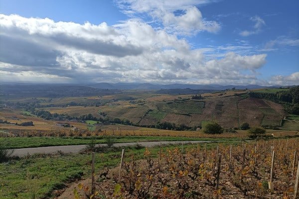 Beaujolais crus tour