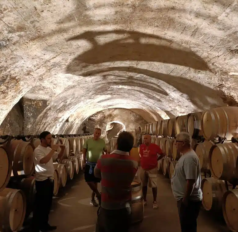 vienne wine tour
