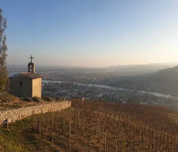 cotes rôties Condrieu hermitage wine tour