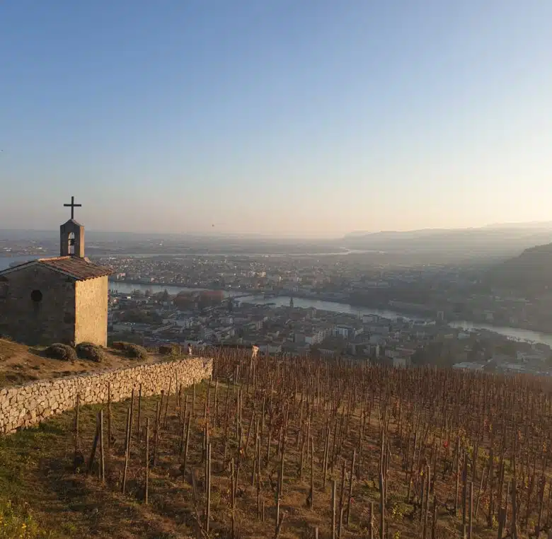 cotes rôties Condrieu hermitage wine tour