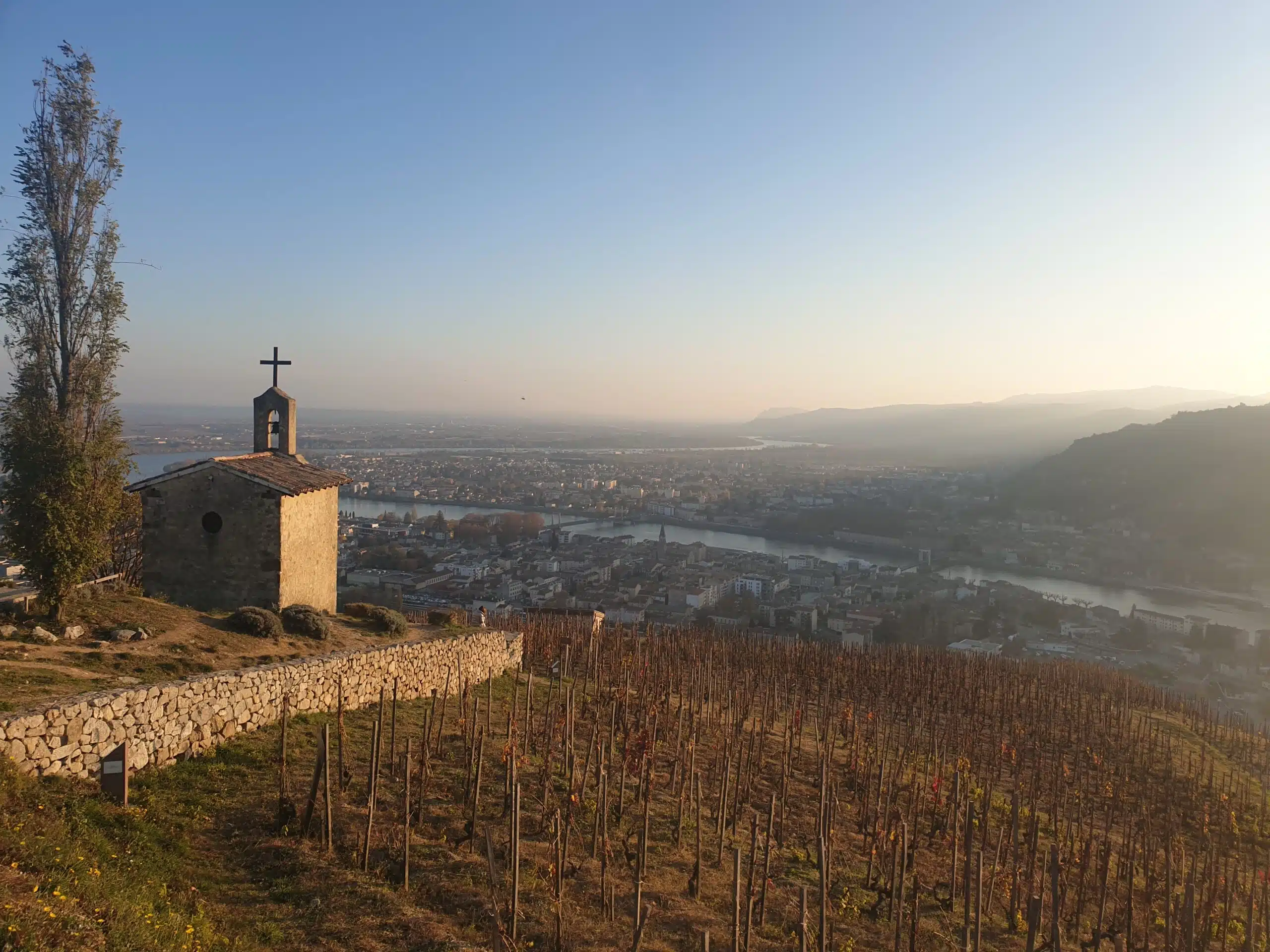 cotes rôties Condrieu hermitage wine tour