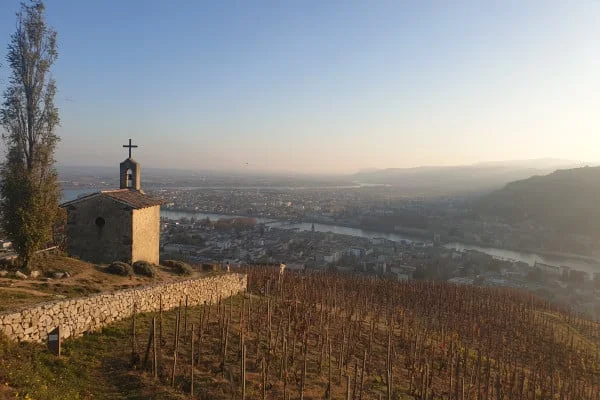 Northern rhone full day