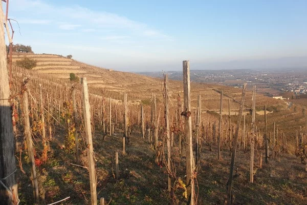 Northern rhone valley