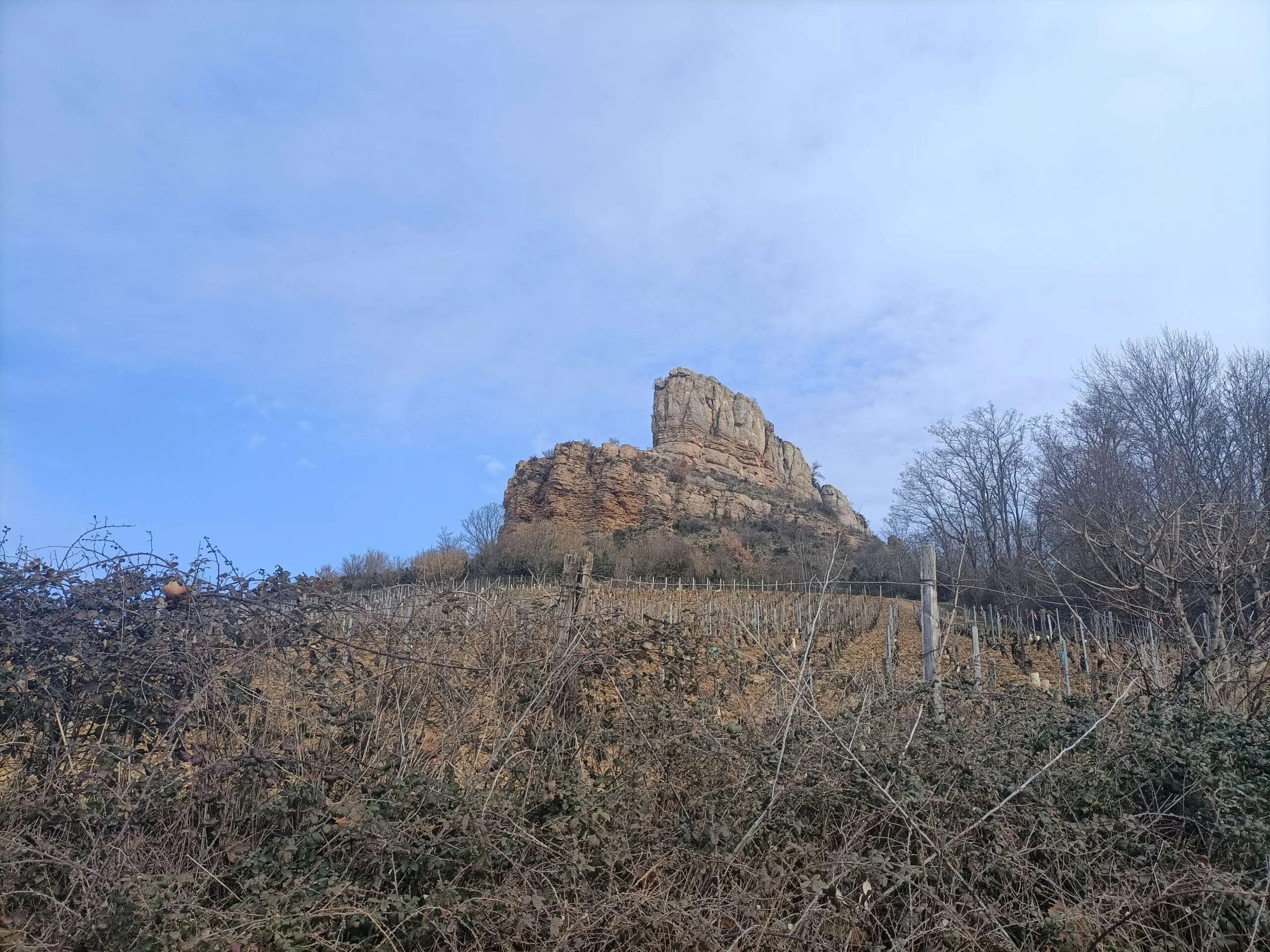 Beaujolais Crus and Macon Wine tour - Half day