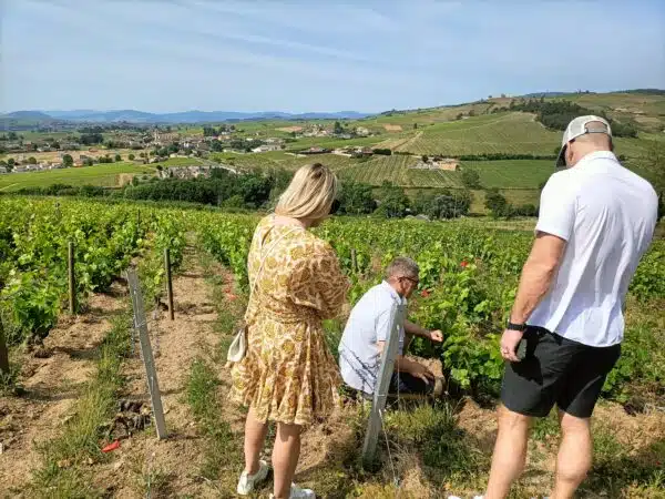 beaujolais wine tour