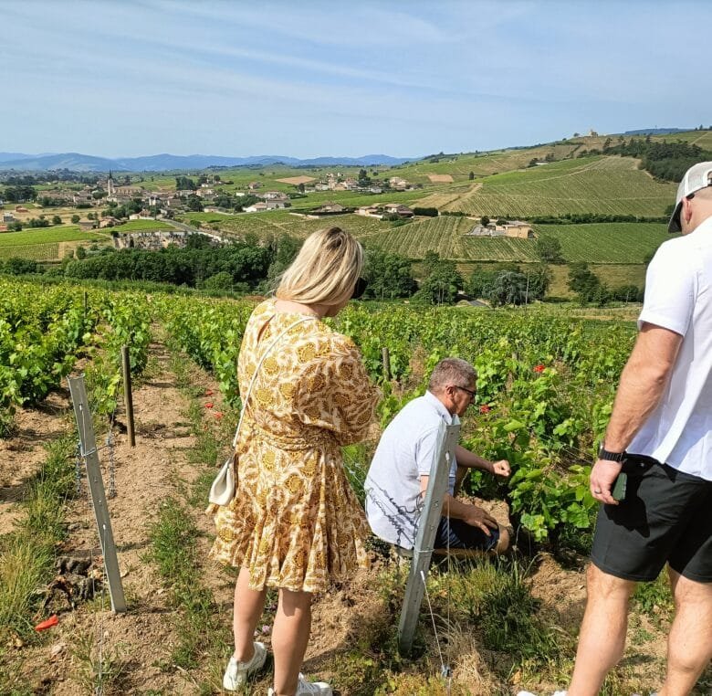 beaujolais wine tour