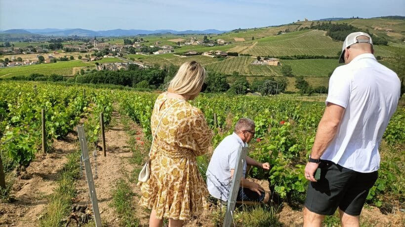 beaujolais wine tour