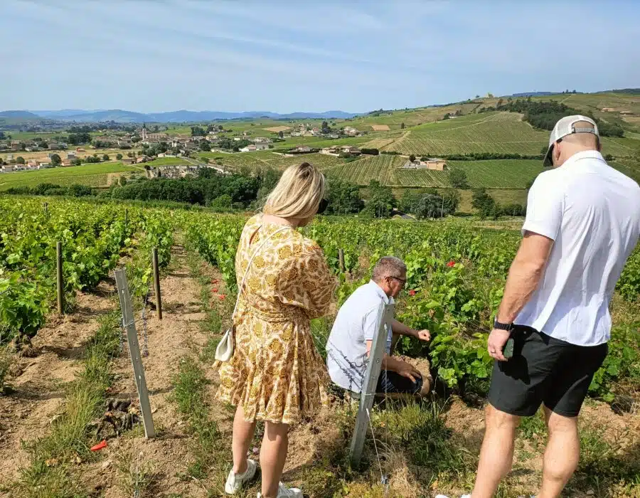 beaujolais wine tour