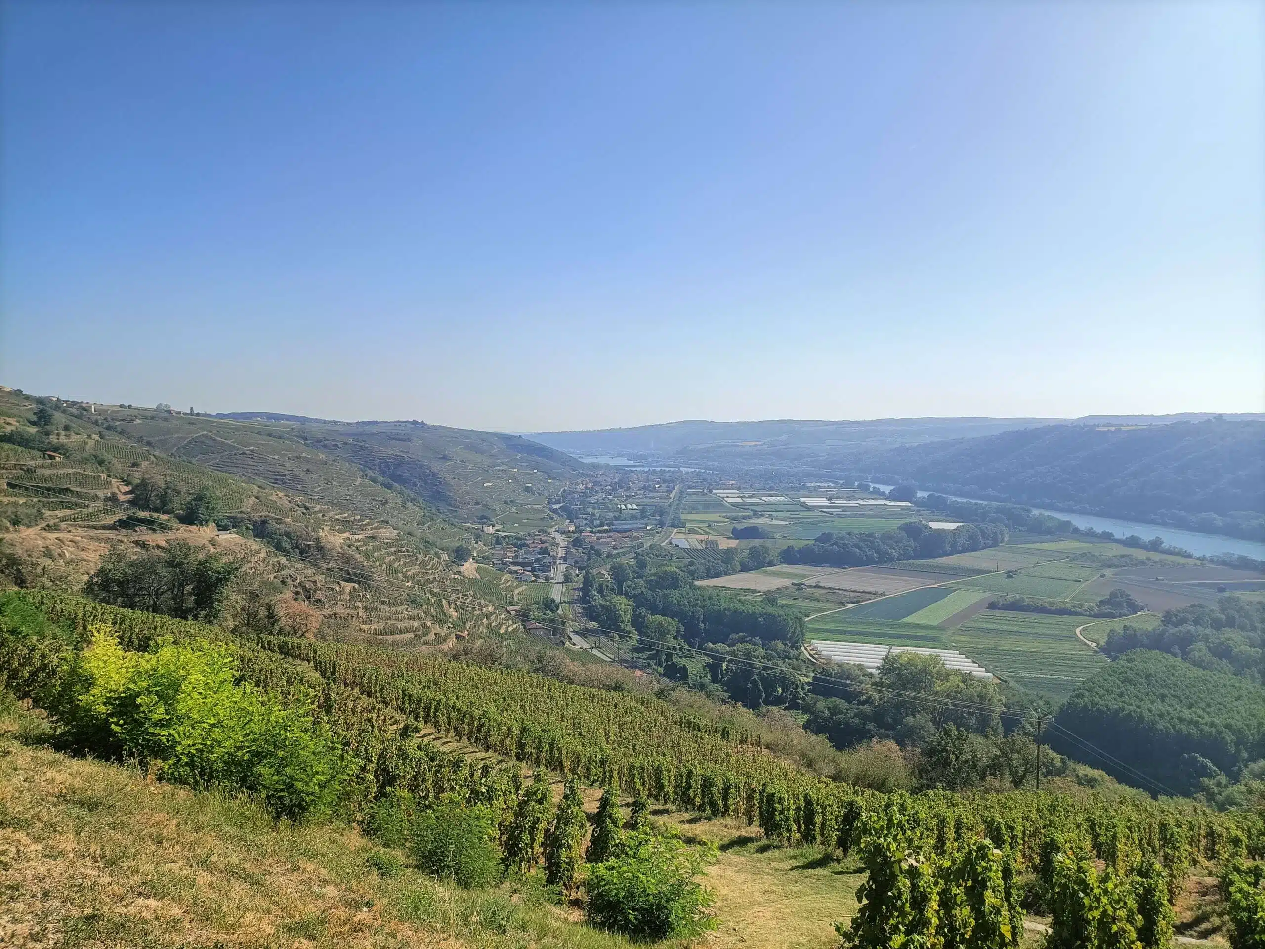 Côtes-Rôties wines and Vienne - Half day - Image 2