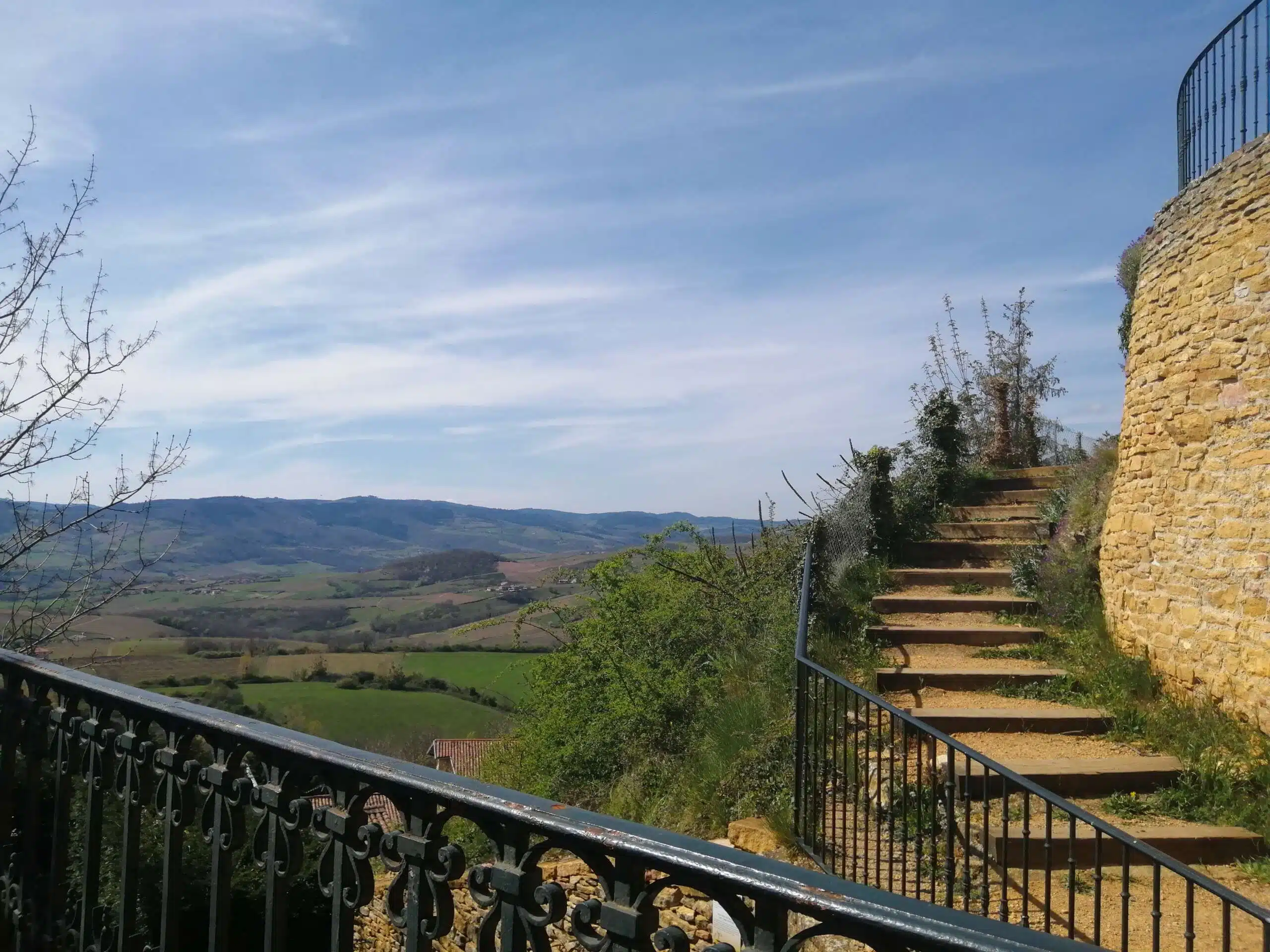 Beaujolais Crus and Macon Wine tour - Half day - Image 3