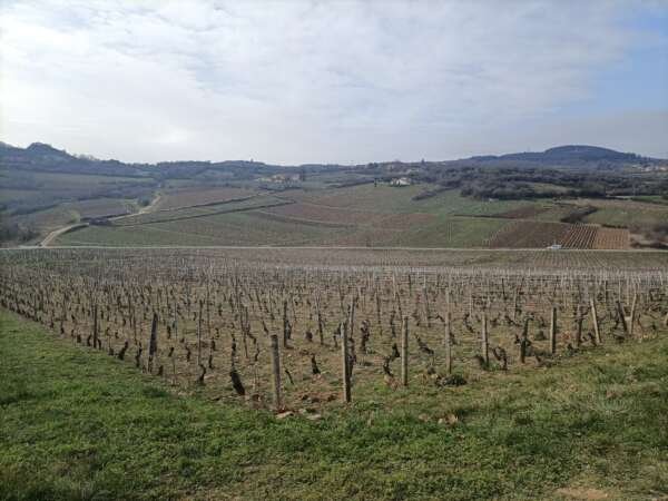 South Burgundy - Full Day – Image 3