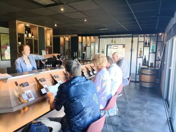 French Alps wines of Savoie - Half Day – Image 8