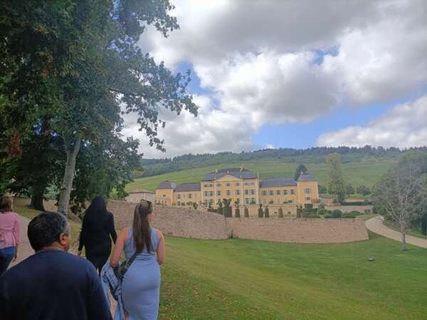 Castles and wines in Beaujolais - Full Day - Image 7