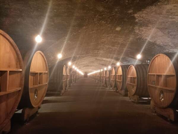 Castles and wines in Beaujolais - Full Day - Image 10