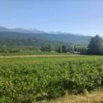 French Alps wines of Savoie - Half Day – Image 4