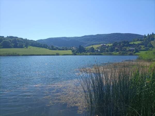 French Alps wines of Savoie - Half Day - Image 3