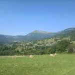 French Alps wines of Savoie - Half Day – Image 2