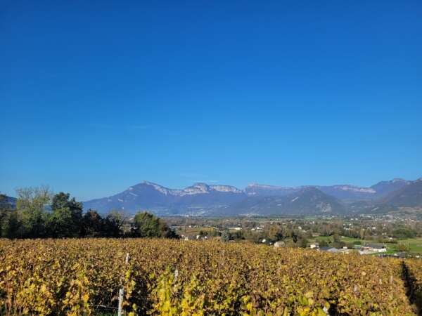 French Alps wine trip - Full Day – Image 9