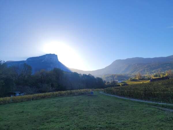 French Alps wine trip - Full Day – Image 12