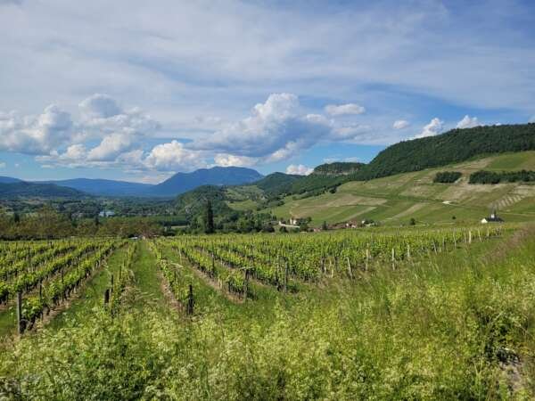 French Alps wine trip - Full Day – Image 7