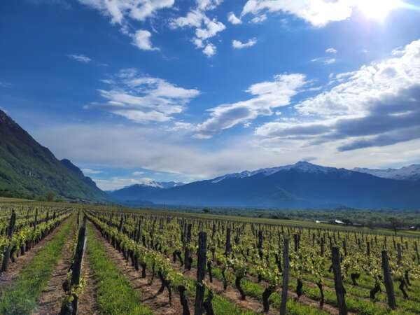 French Alps wine trip - Full Day