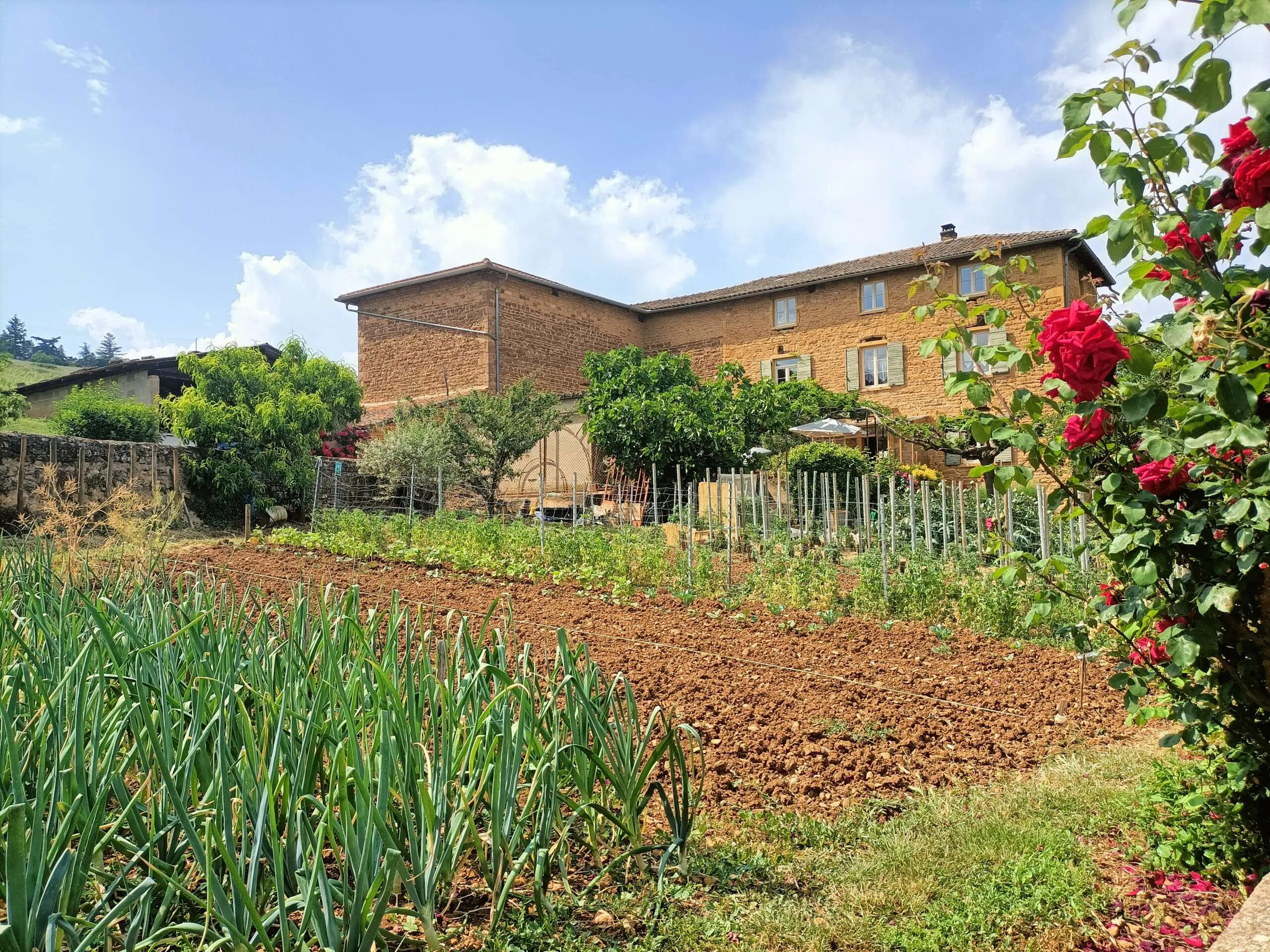 Beaujolais Wine Tour - Half Day - Image 9