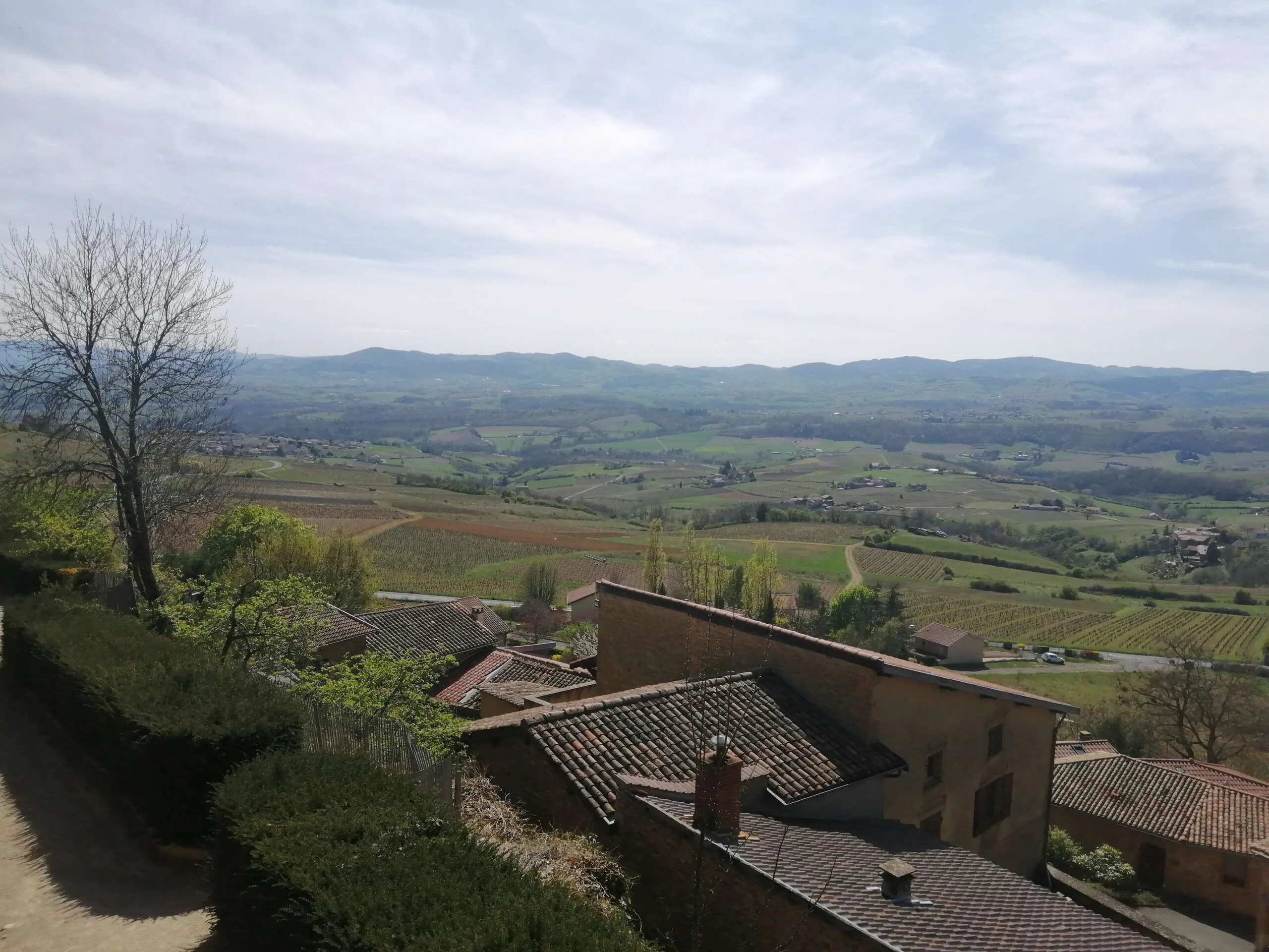 Beaujolais Wine Tour - Half Day - Image 6