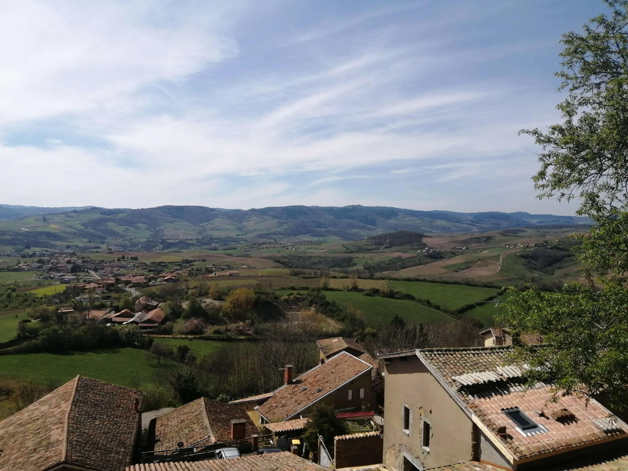 Beaujolais Wine Tour - Half Day - Image 10