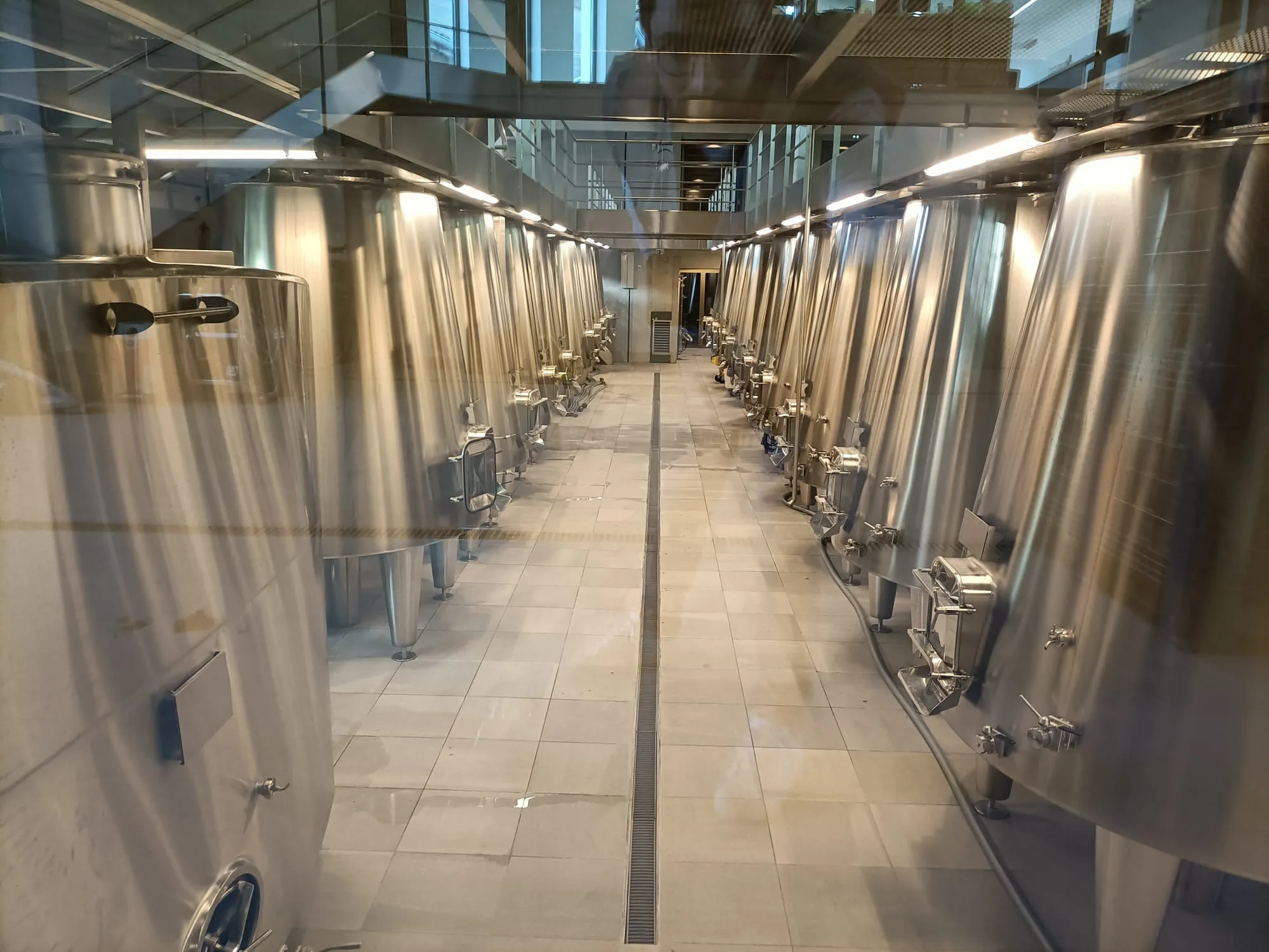 Northern Rhone Wine Tour - Full day - Image 7